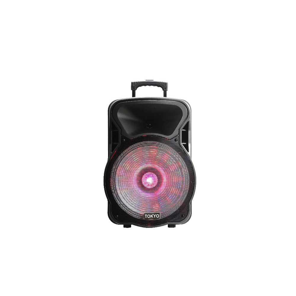 PARLANTE TOKYO PARTY 12" BATERIA 4400MAH BLUETOOH FM/USB 2 MICROF